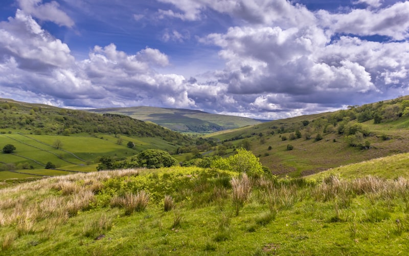 Yorkshire